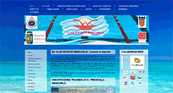 Desktop Screenshot of clubnataciobenicarlo.com